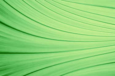 Similar image 10518005