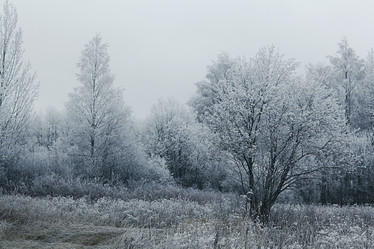 Similar image 10518023