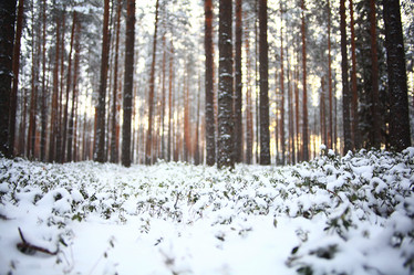 Similar image 10518053