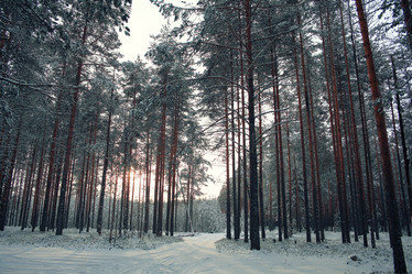 Similar image 10518056