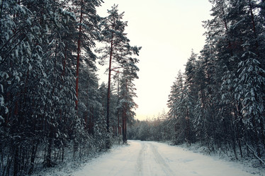 Similar image 10518057