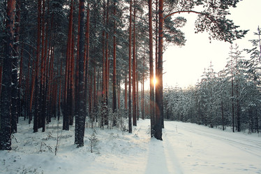 Similar image 10518059