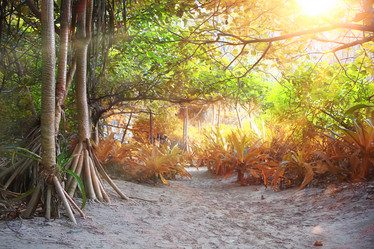 Similar image 10518061