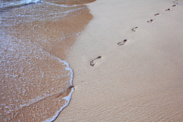 Similar image 10518065