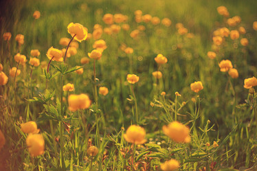 Similar image 10518146