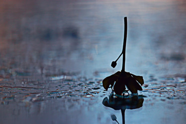 Similar image 10518156