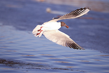 Similar image 10518307