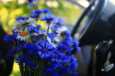 Similar image 10518324