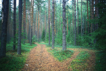 Similar image 10518325