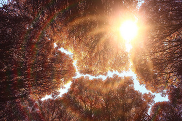 Similar image 10518341