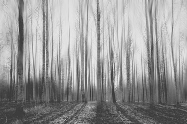 Similar image 10518342