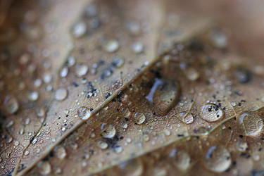 Similar image 10518352