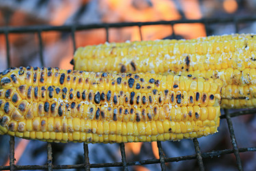 Similar image 10518377