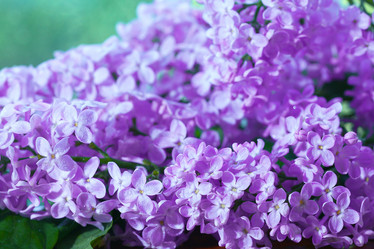 Similar image 10518385