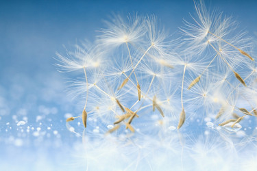 Similar image 10518392