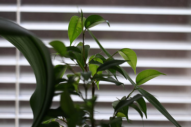 Similar image 10518394