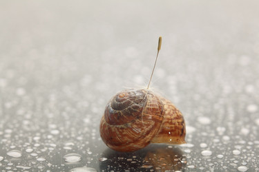 Similar image 10518401