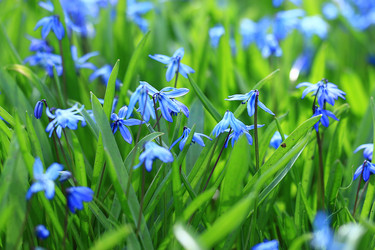 Similar image 10518403