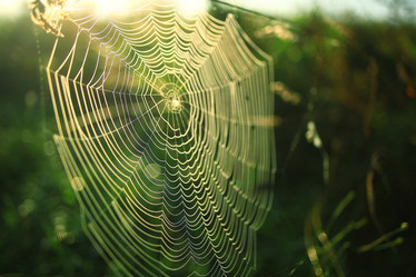 Similar image 10518408