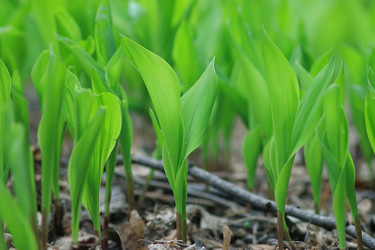 Similar image 10518409