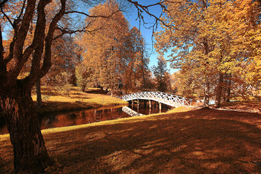 Similar image 10518411