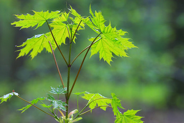 Similar image 10518412