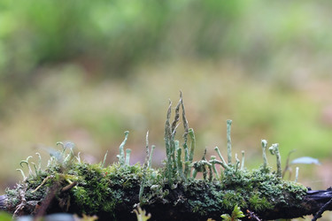 Similar image 10518445