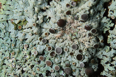 Similar image 10518448