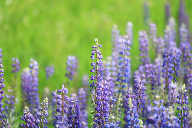 Similar image 10518454