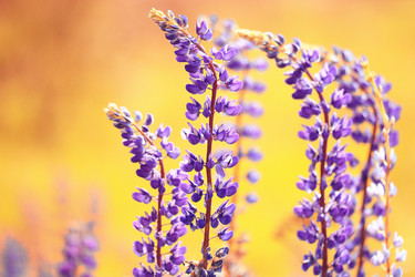 Similar image 10518455