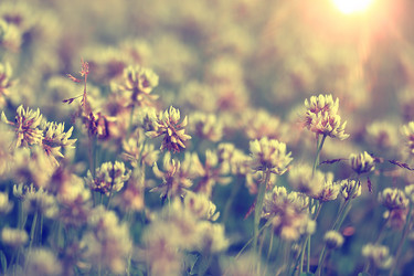 Similar image 10518456