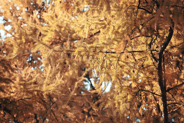 Similar image 10518458