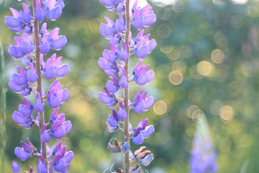 Similar image 10518460