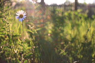 Similar image 10518461