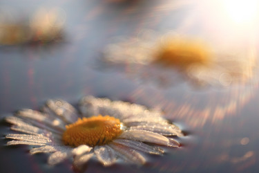 Similar image 10518486