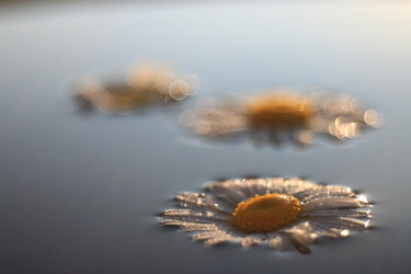 Similar image 10518487