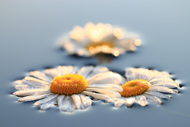 Similar image 10518488