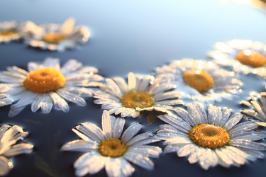 Similar image 10518491