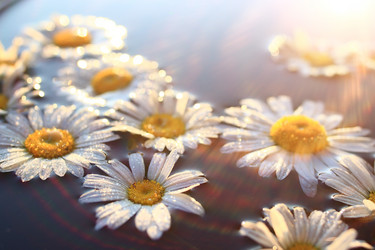 Similar image 10518492