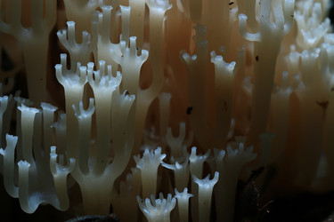 Similar image 10518493