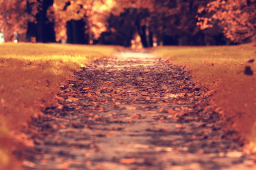 Similar image 10518496