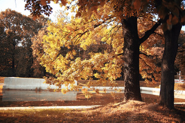 Similar image 10518499