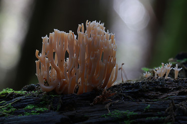 Similar image 10518501