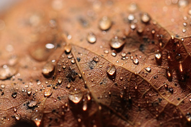 Similar image 10518504