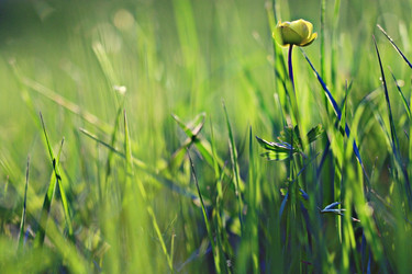 Similar image 10518549