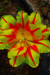 Similar image 10518619