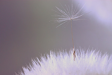 Similar image 10518623