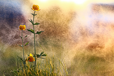 Similar image 10518629