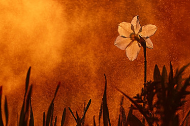 Similar image 10518634