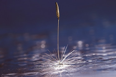 Similar image 10518644